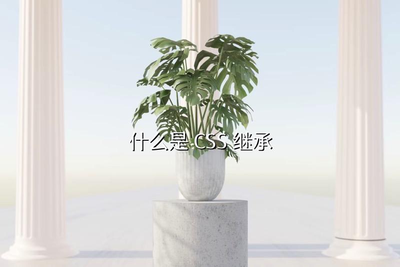 什么是 CSS 继承