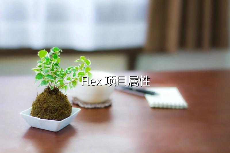 Flex 项目属性